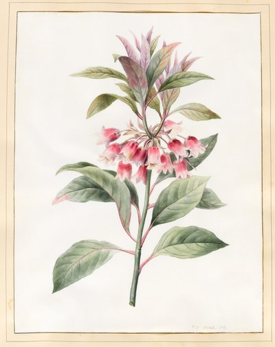 Senza nome, 1827 da Louise DOrleans